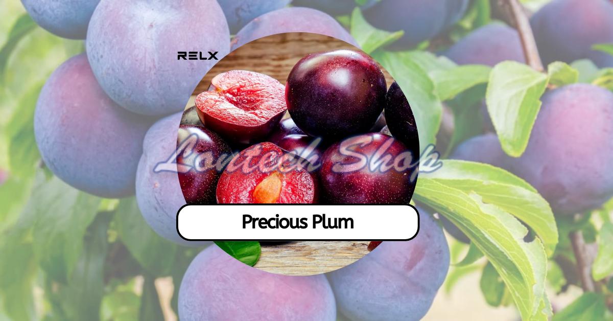 Relx Precious Plum Pods