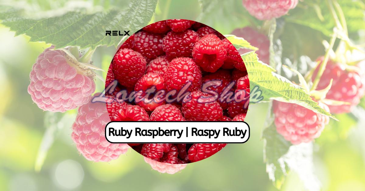 Buy RELX Ruby Raspberry Pods Raspy Ruby