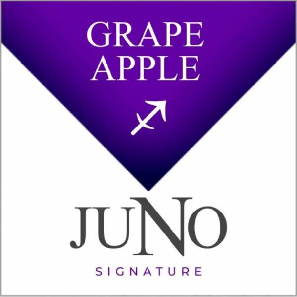 Juno Disposable Pod - Sagittarius - Grape Apple