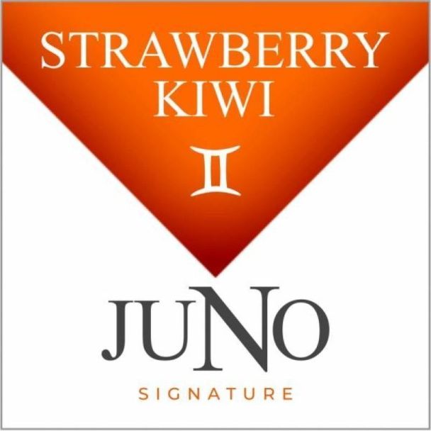 Gemini Strawberry Kiwi  Juno Disposable E-Liquid Pod
