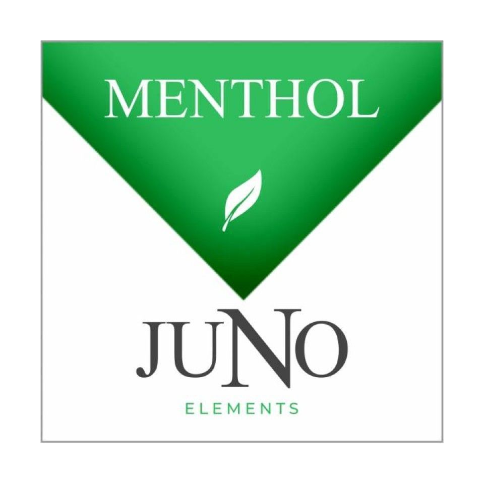JUNO Pods Menthol 4 Pack Lontech Vape Shop