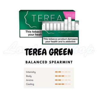 IQOS TEREA Green