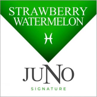 Juno Disposable Pod - Pisces - Strawberry Watermelon