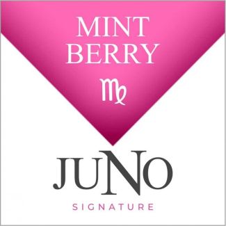 Juno Disposable Pod 4 Pack VIRGO Mint Berry 