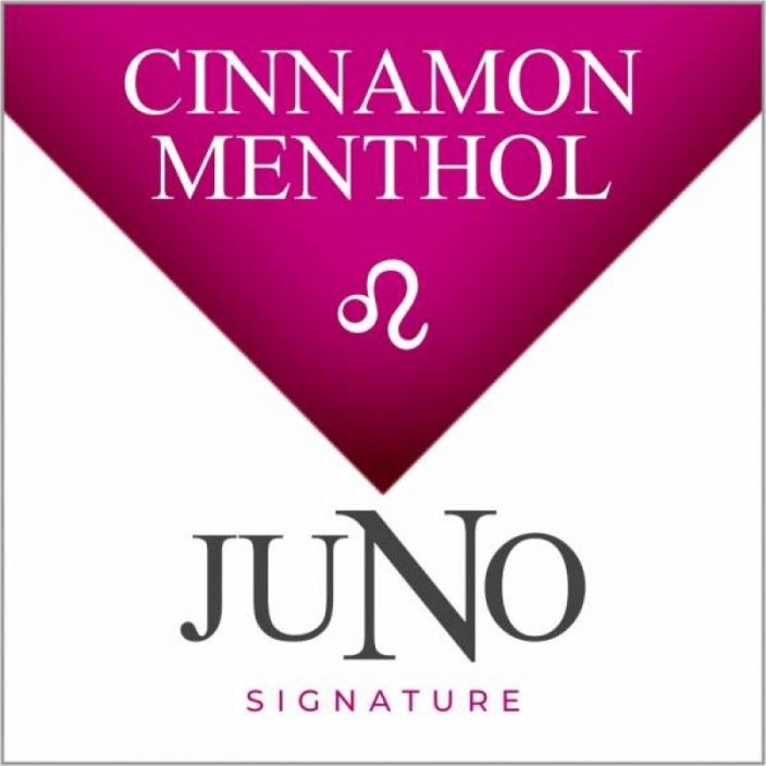 Juno Disposable Pod 4 Pack LEO Cinnamon Menthol Lontech